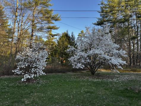 9 Hammond Road Kennebunk ME 04043