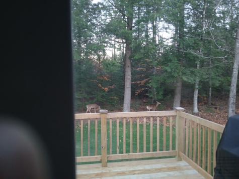 10 Alma Drive Lisbon ME 04250