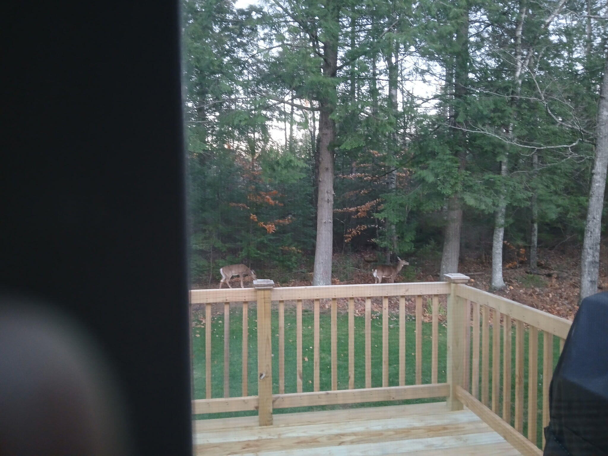 10 Alma Drive Lisbon ME 04250