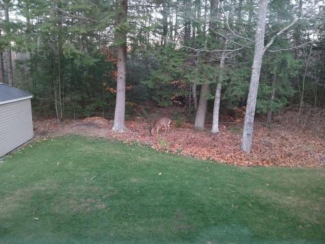 10 Alma Drive Lisbon ME 04250