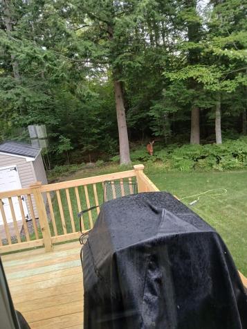 10 Alma Drive Lisbon ME 04250