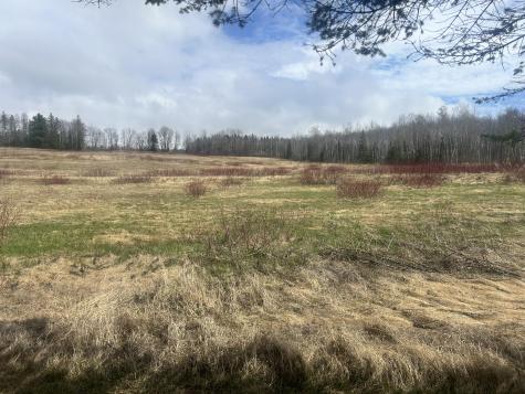 304 Strip Road Wallagrass ME 04781
