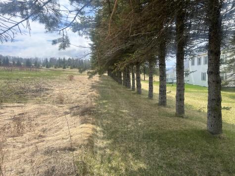 304 Strip Road Wallagrass ME 04781