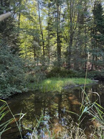 672 Lower Dedham Road Dedham ME 04429