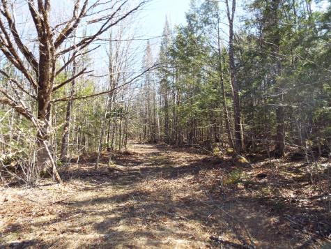 894 Greeley's Landing Road Dover-foxcroft ME 04426