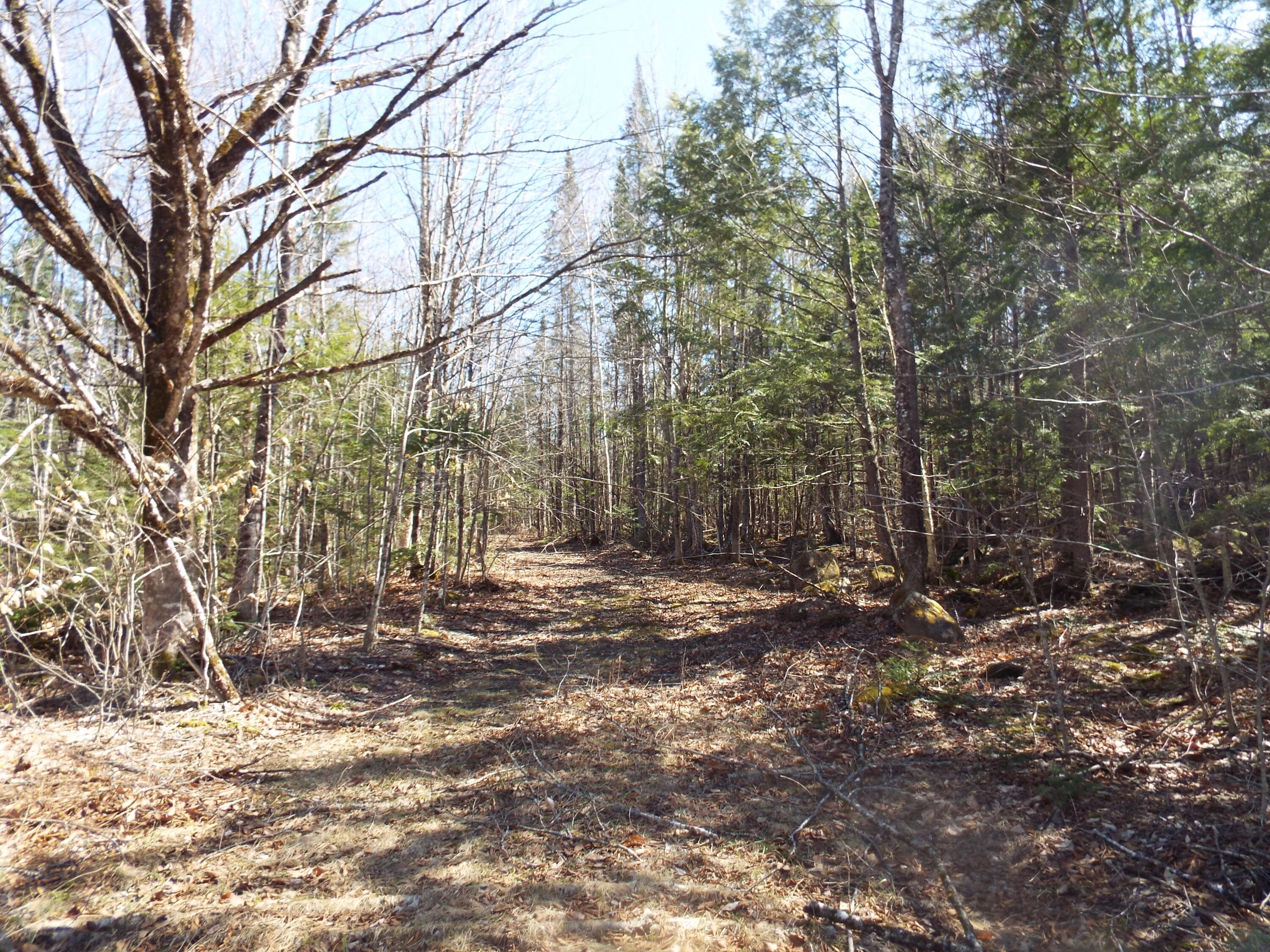 894 Greeley's Landing Road Dover-foxcroft ME 04426