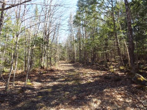 894 Greeley's Landing Road Dover-foxcroft ME 04426