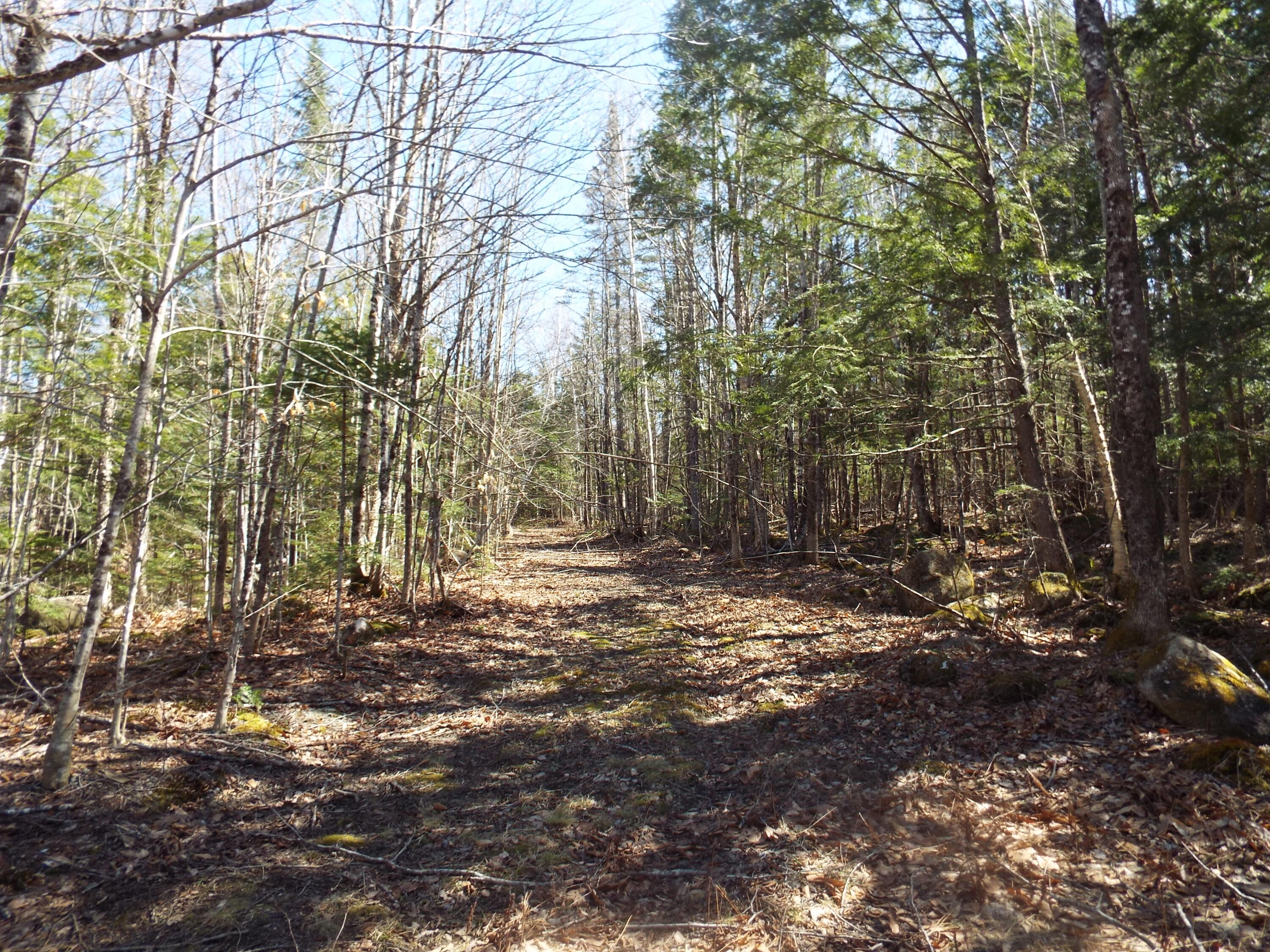 894 Greeley's Landing Road Dover-foxcroft ME 04426