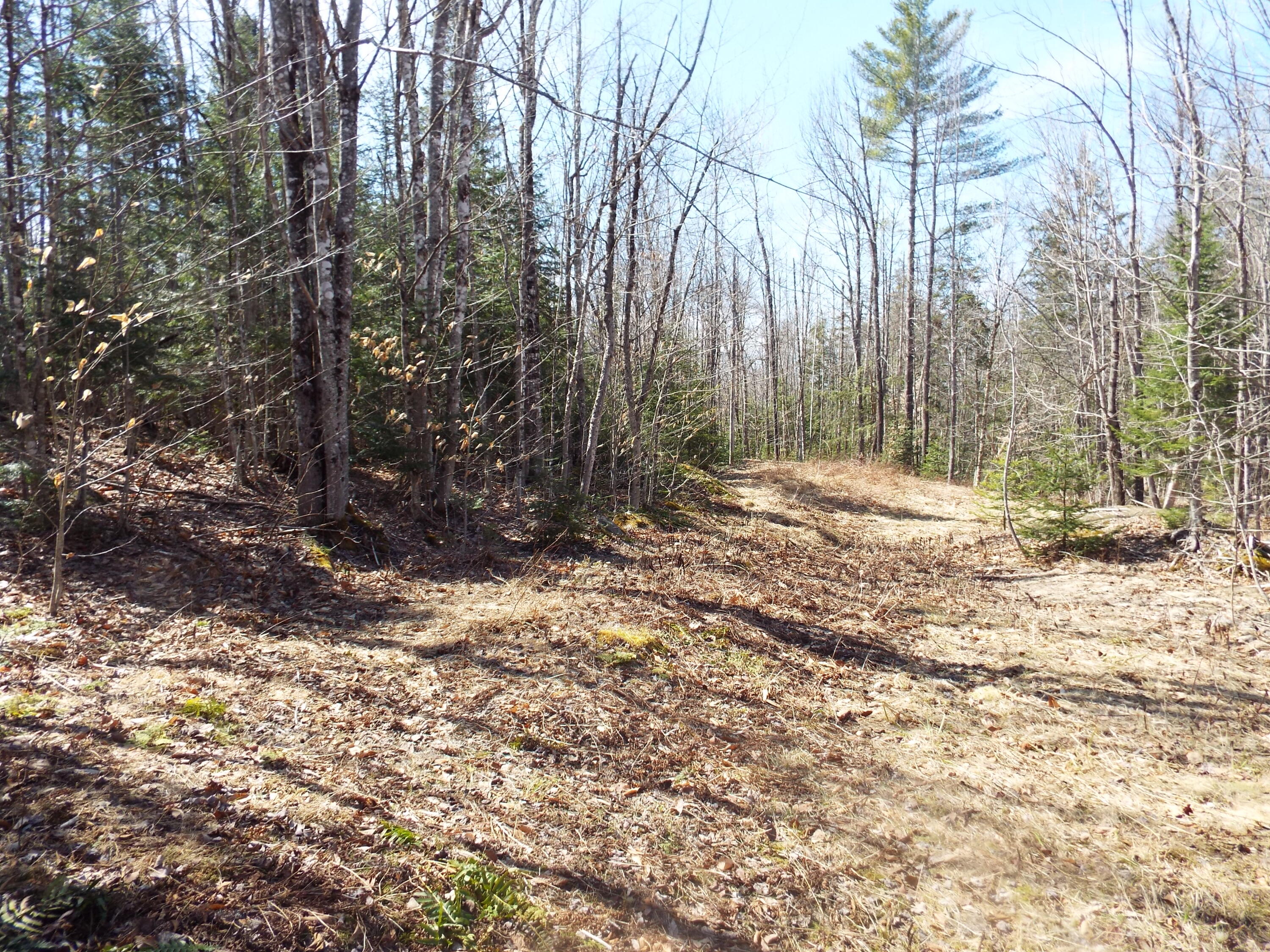 894 Greeley's Landing Road Dover-foxcroft ME 04426