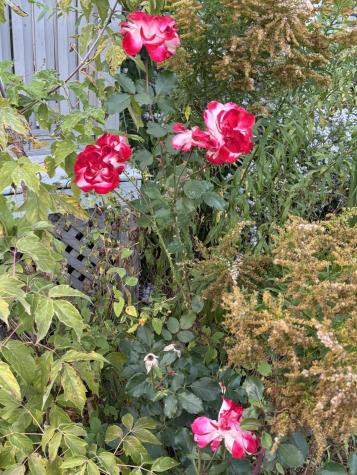 44 Bushey Circle Lewiston ME 04240