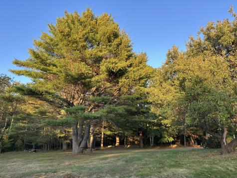 818 Forest Avenue Orono ME 04473