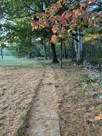 818 Forest Avenue Orono ME 04473