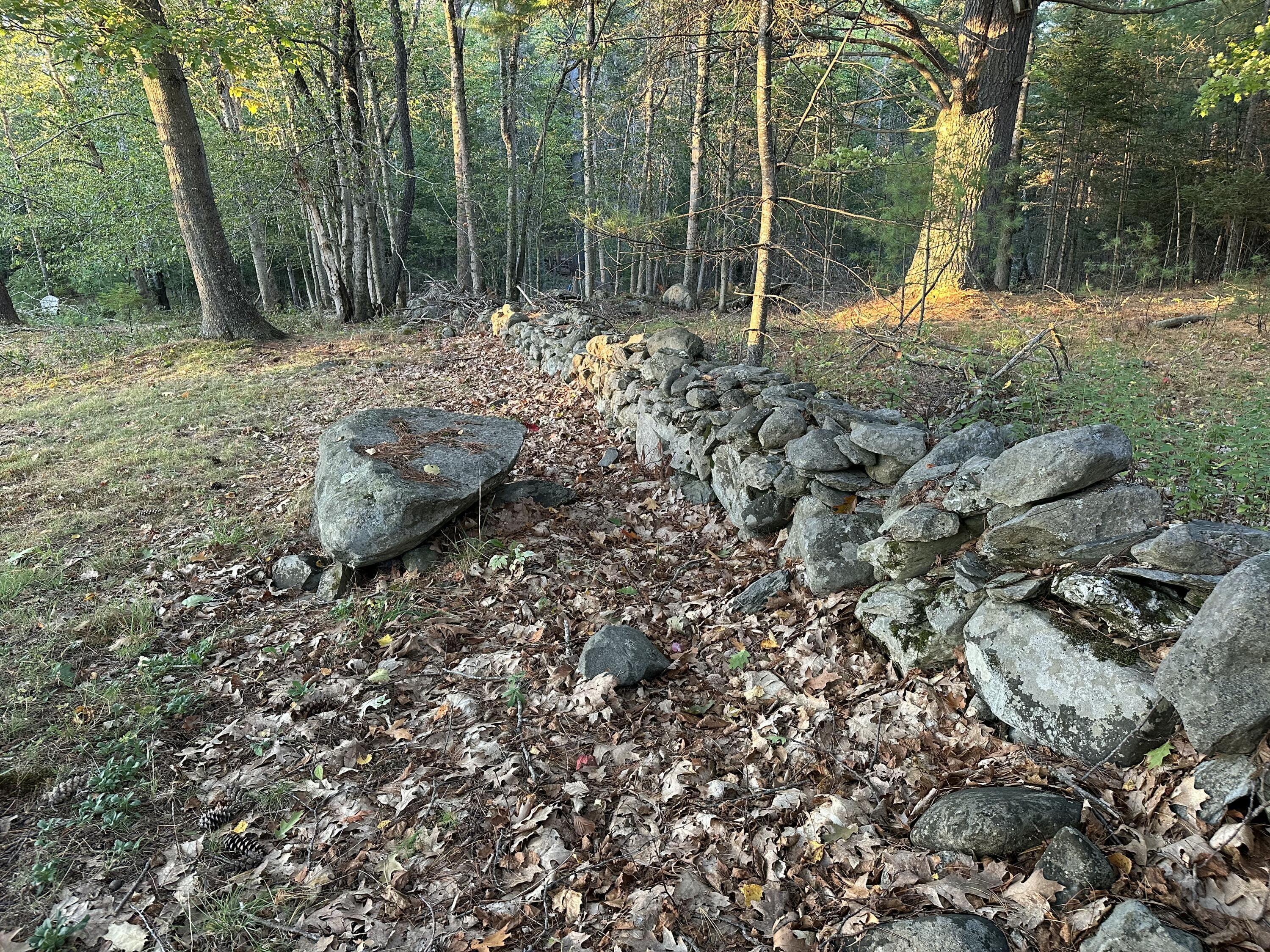818 Forest Avenue Orono ME 04473