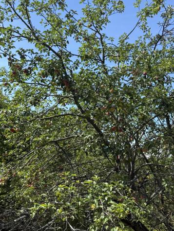 112 Hawk Mountain Road Waterford ME 04088