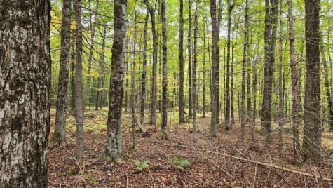 4 Cousineaus Tory Hill Heights Phillips ME 04966