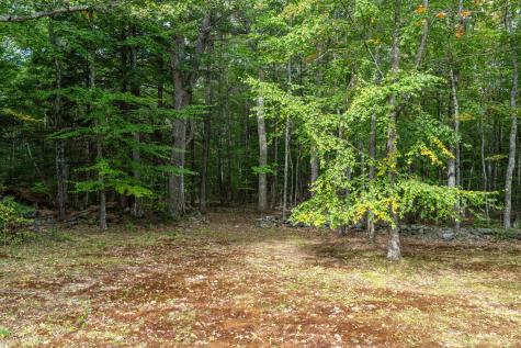 141 Sam Wentworth Road Lebanon ME 04027