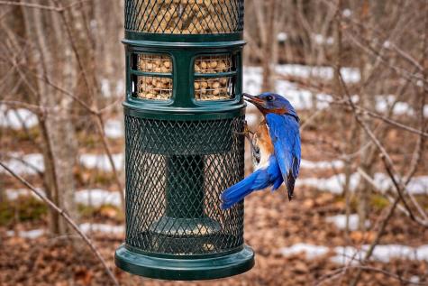 42 Caslyn Drive Eliot ME 03903