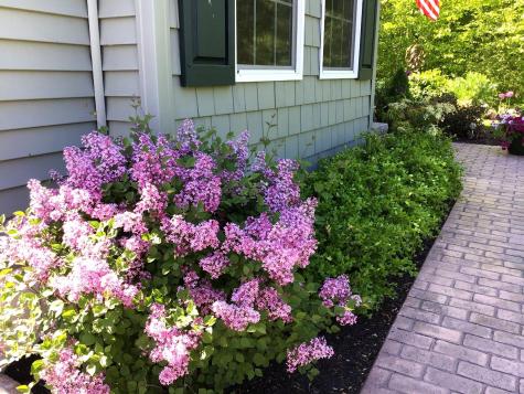 42 Caslyn Drive Eliot ME 03903