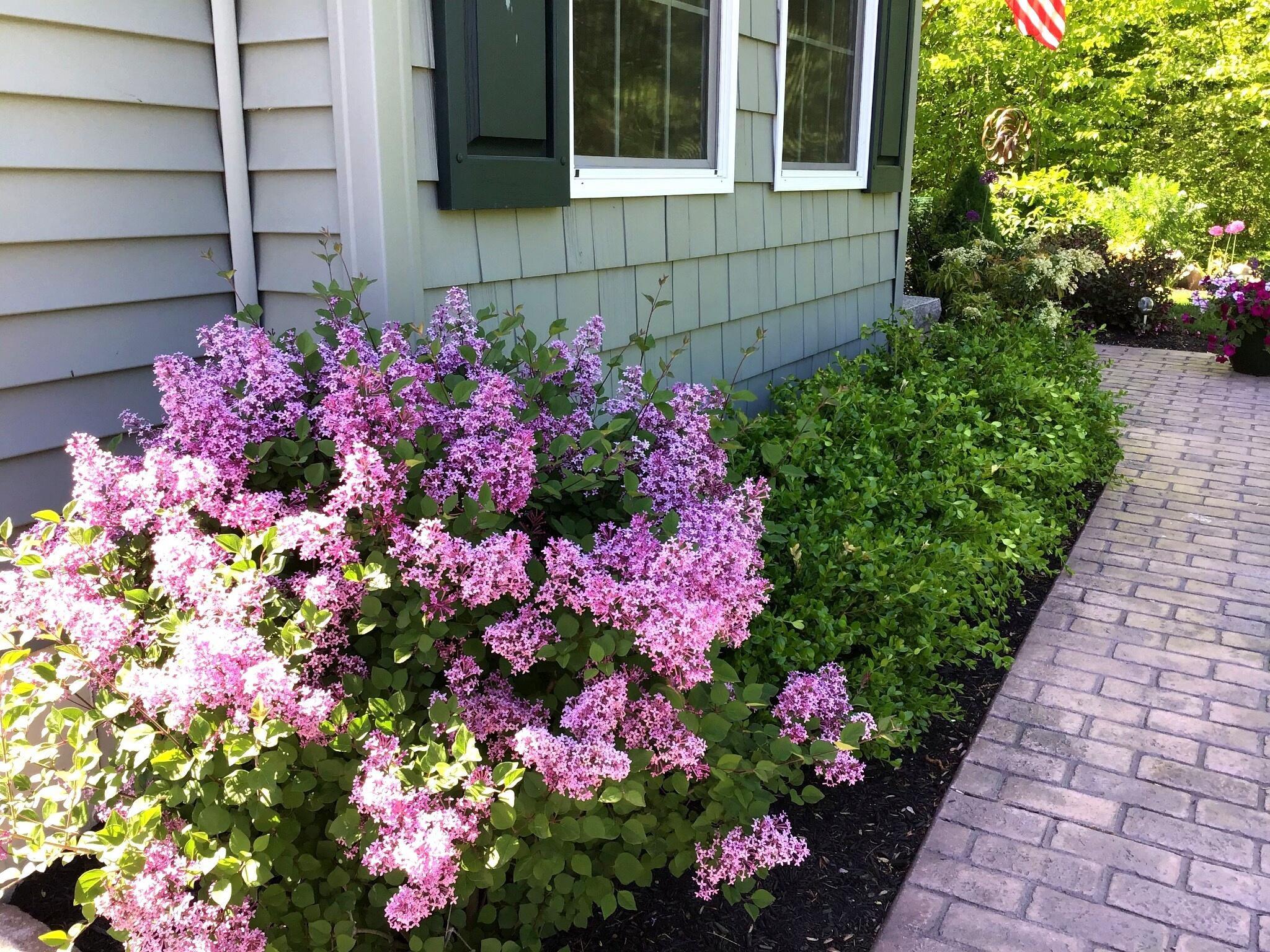 42 Caslyn Drive Eliot ME 03903