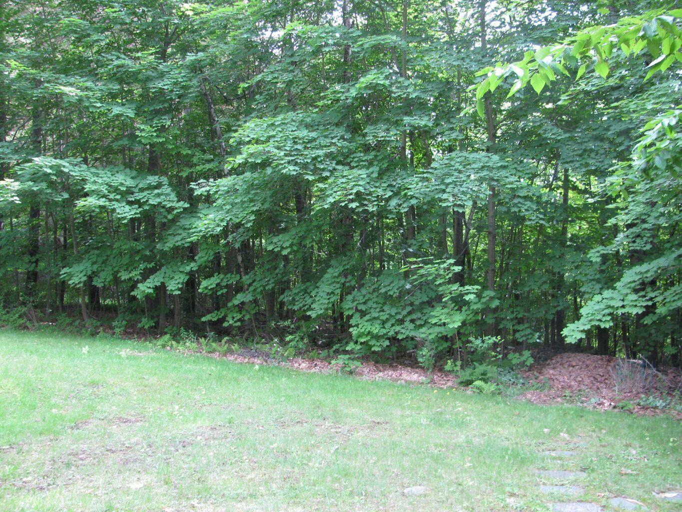 339 Webster Street Lewiston ME 04240