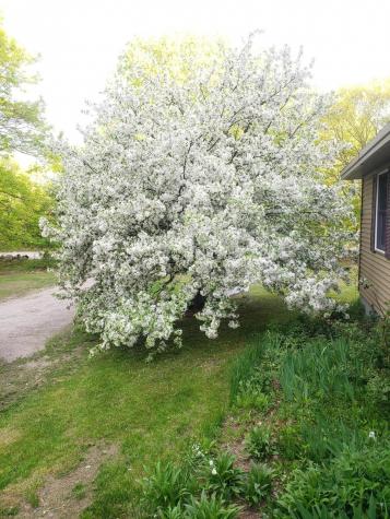 502 Johnson Hill Road Poland ME 04274