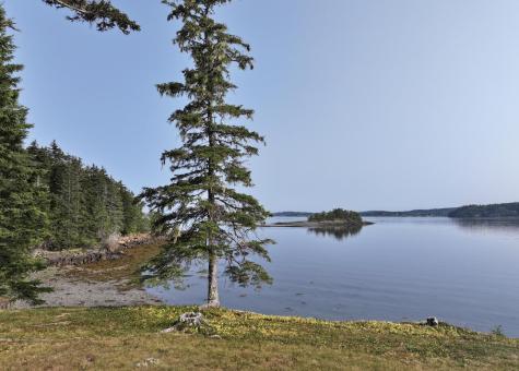 799 N Lubec Road Lubec ME 04652