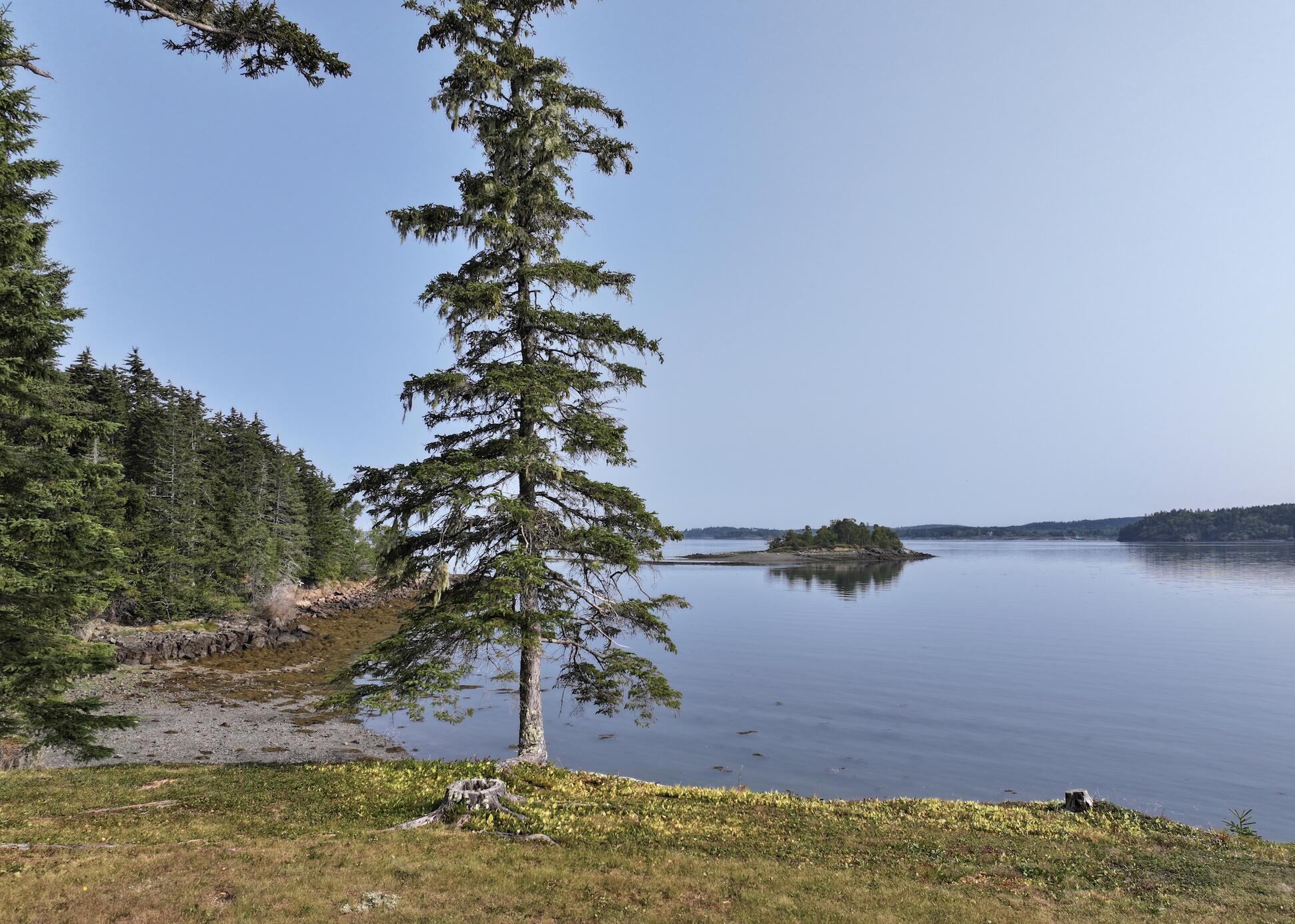 799 N Lubec Road Lubec ME 04652