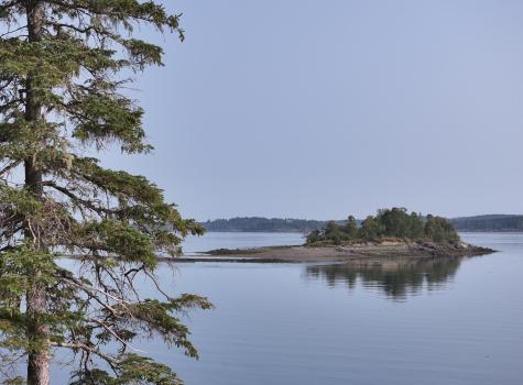 799 N Lubec Road Lubec ME 04652