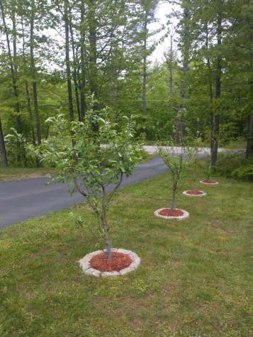 1618 Acton Ridge Road Acton ME 04001