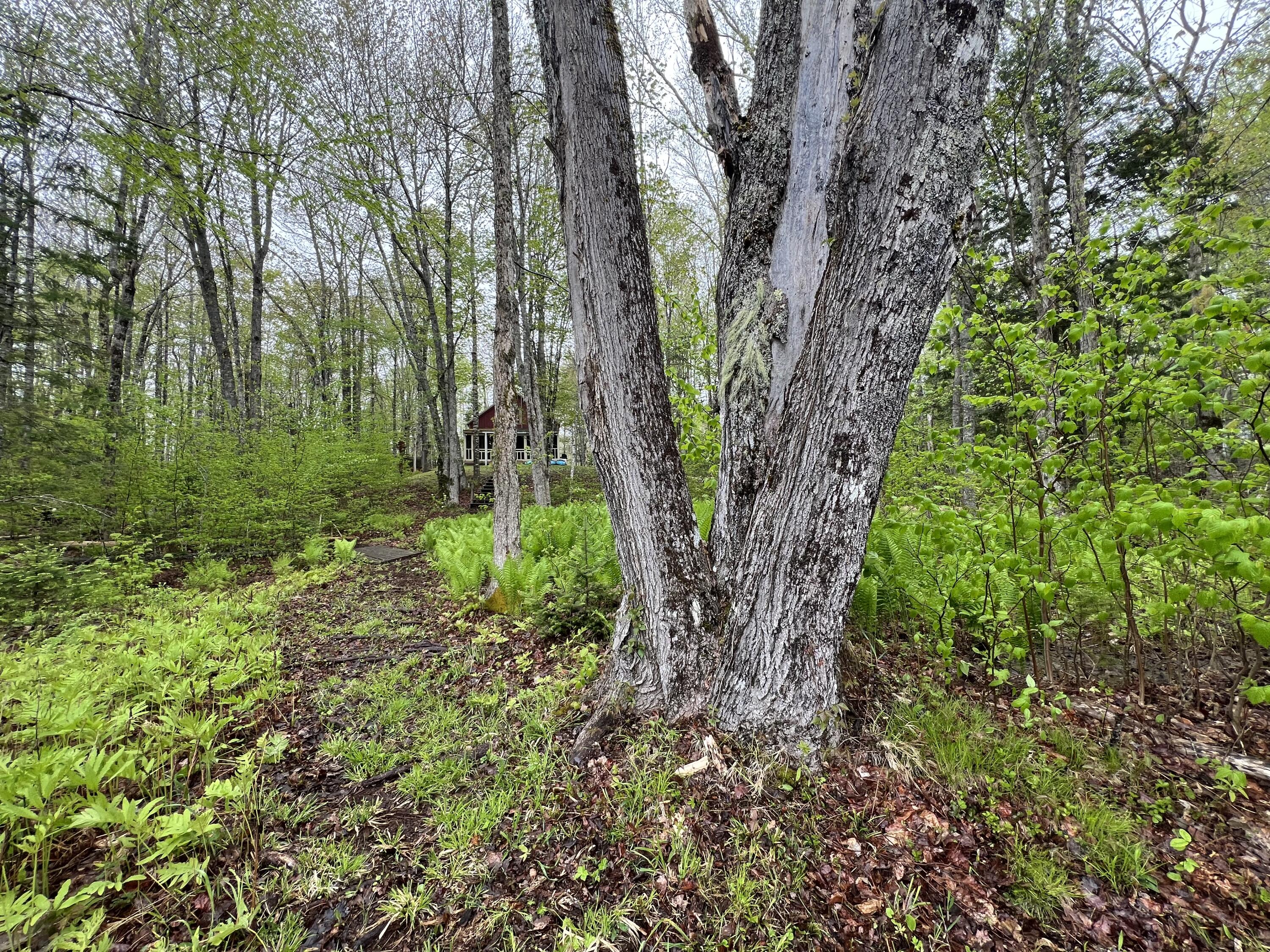 2 S Union River Road Mariaville ME 04605