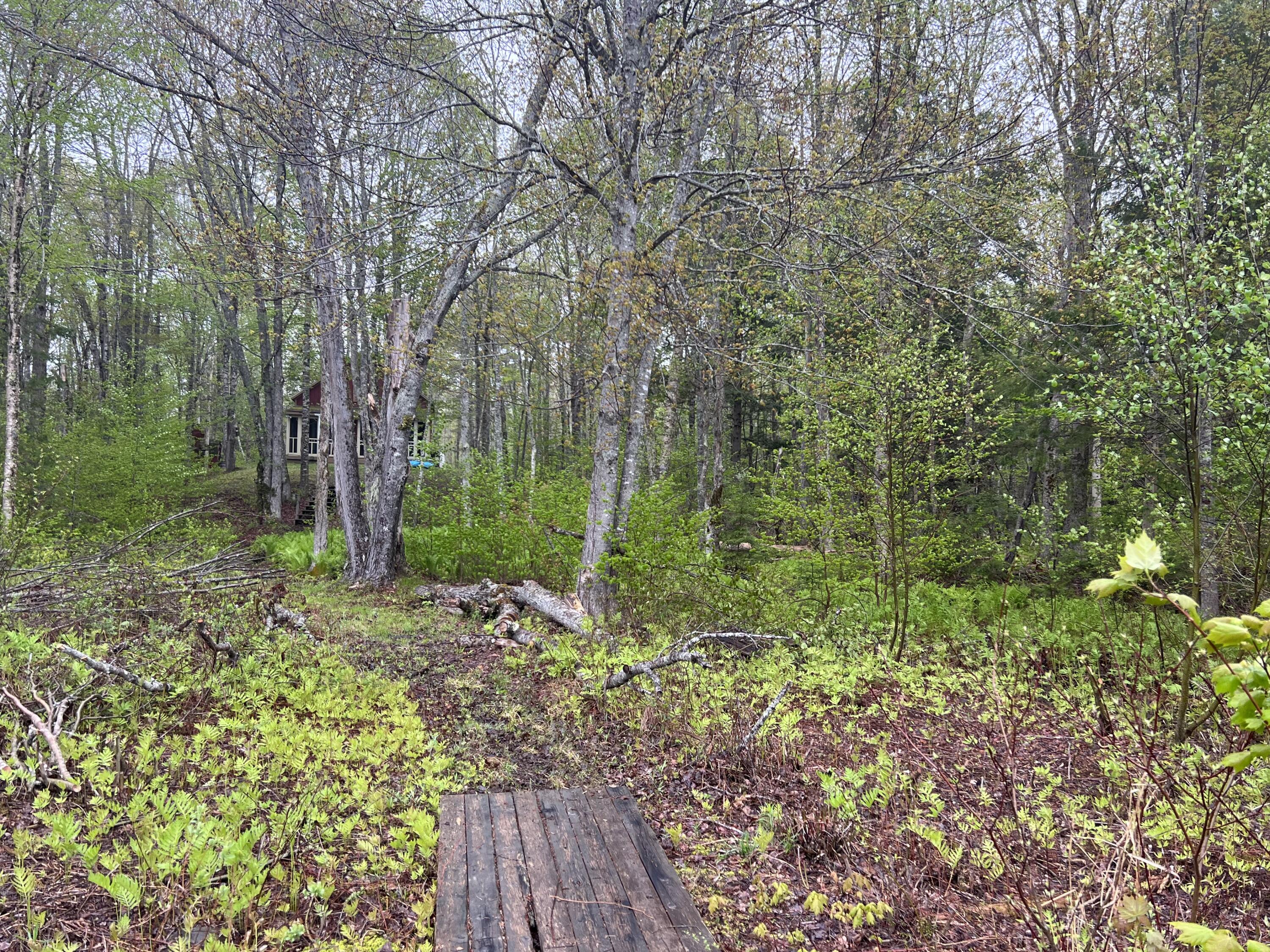 2 S Union River Road Mariaville ME 04605