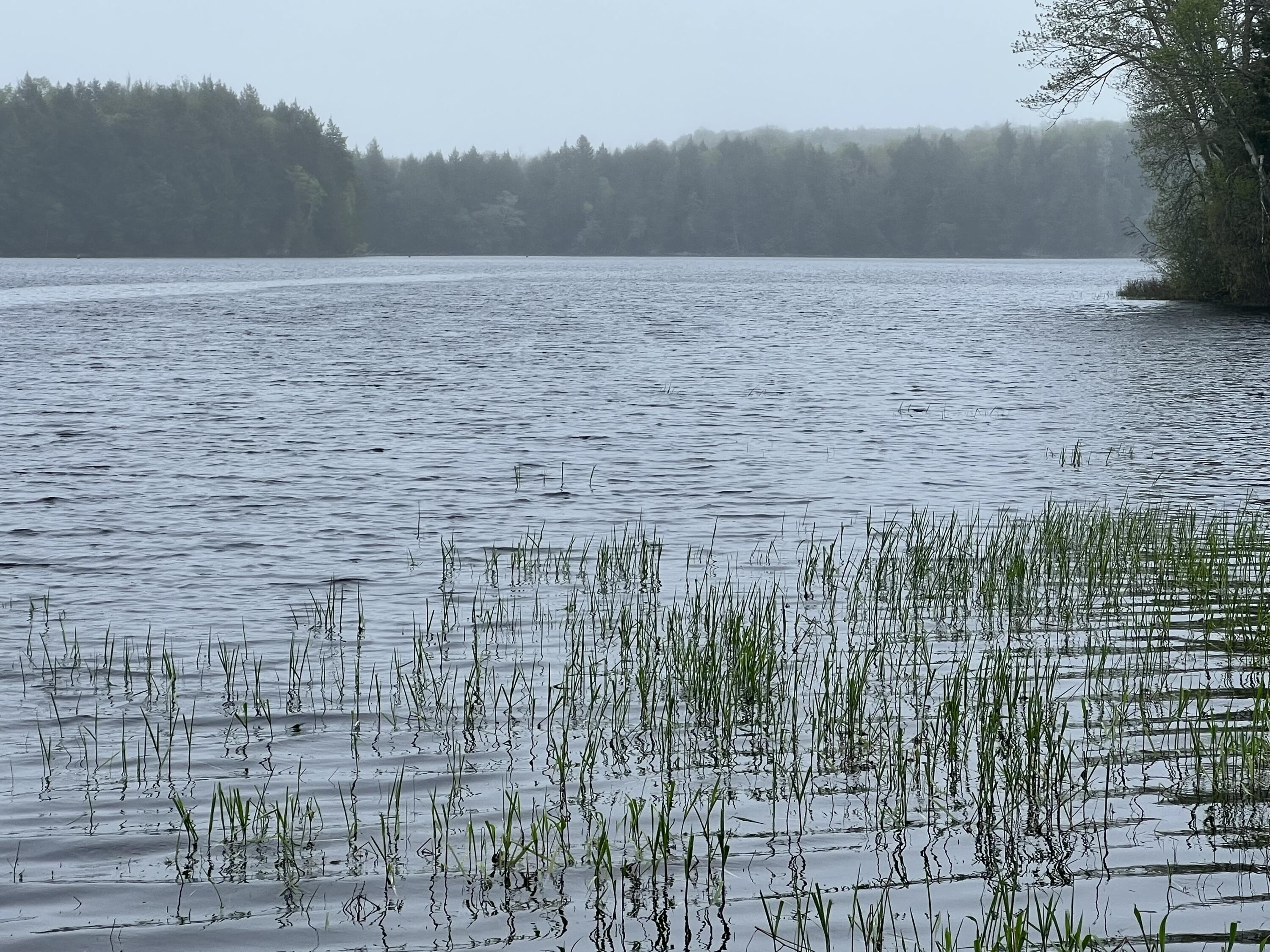 2 S Union River Road Mariaville ME 04605