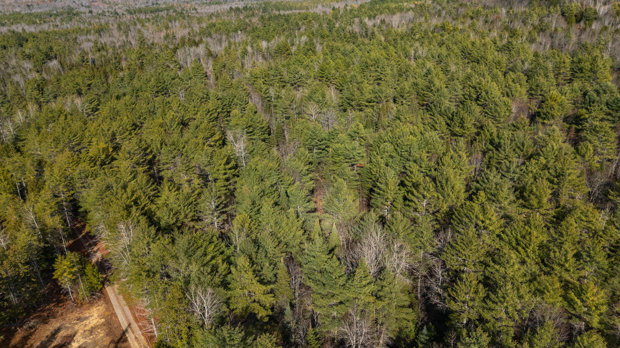 116 New Harrison Road Oxford ME 04270