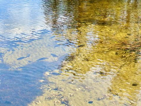 443 Lovejoy Shores Drive Fayette ME 04349