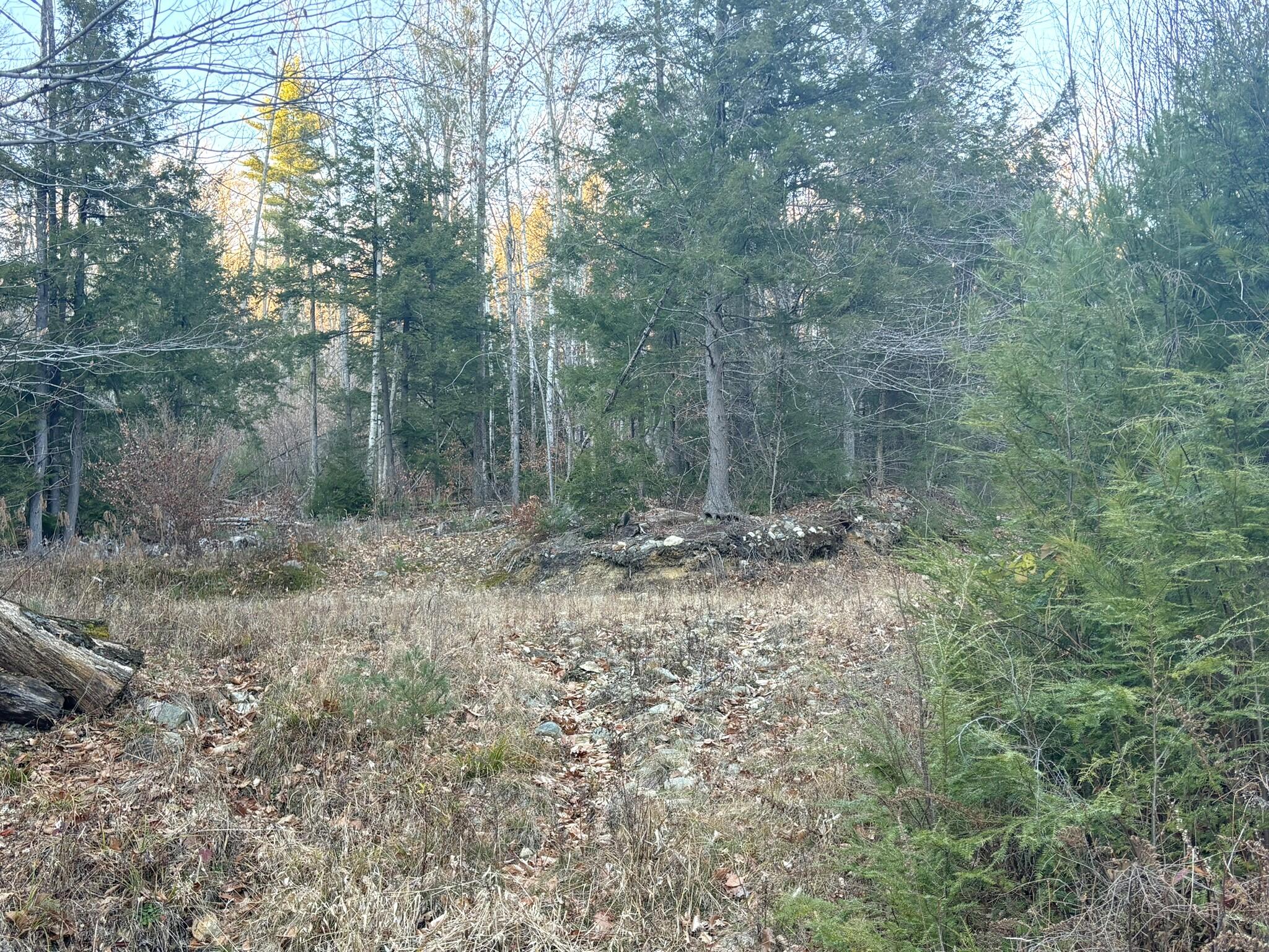 0 Canton Mountain Road Canton ME 04221