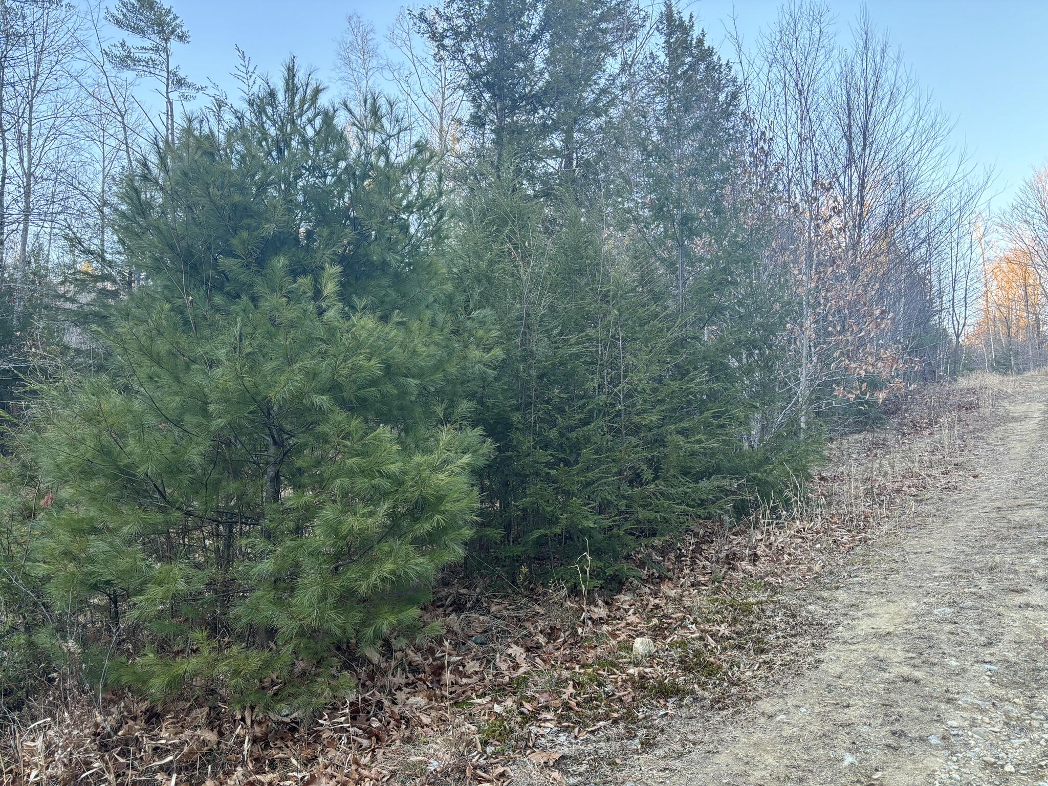 0 Canton Mountain Road Canton ME 04221