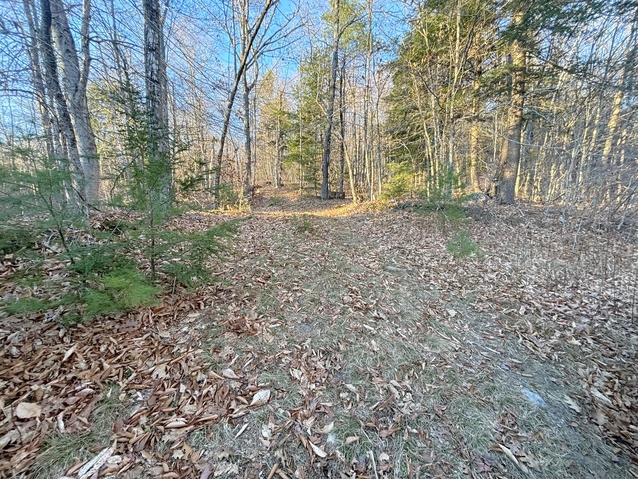 0 Canton Mountain Road Canton ME 04221