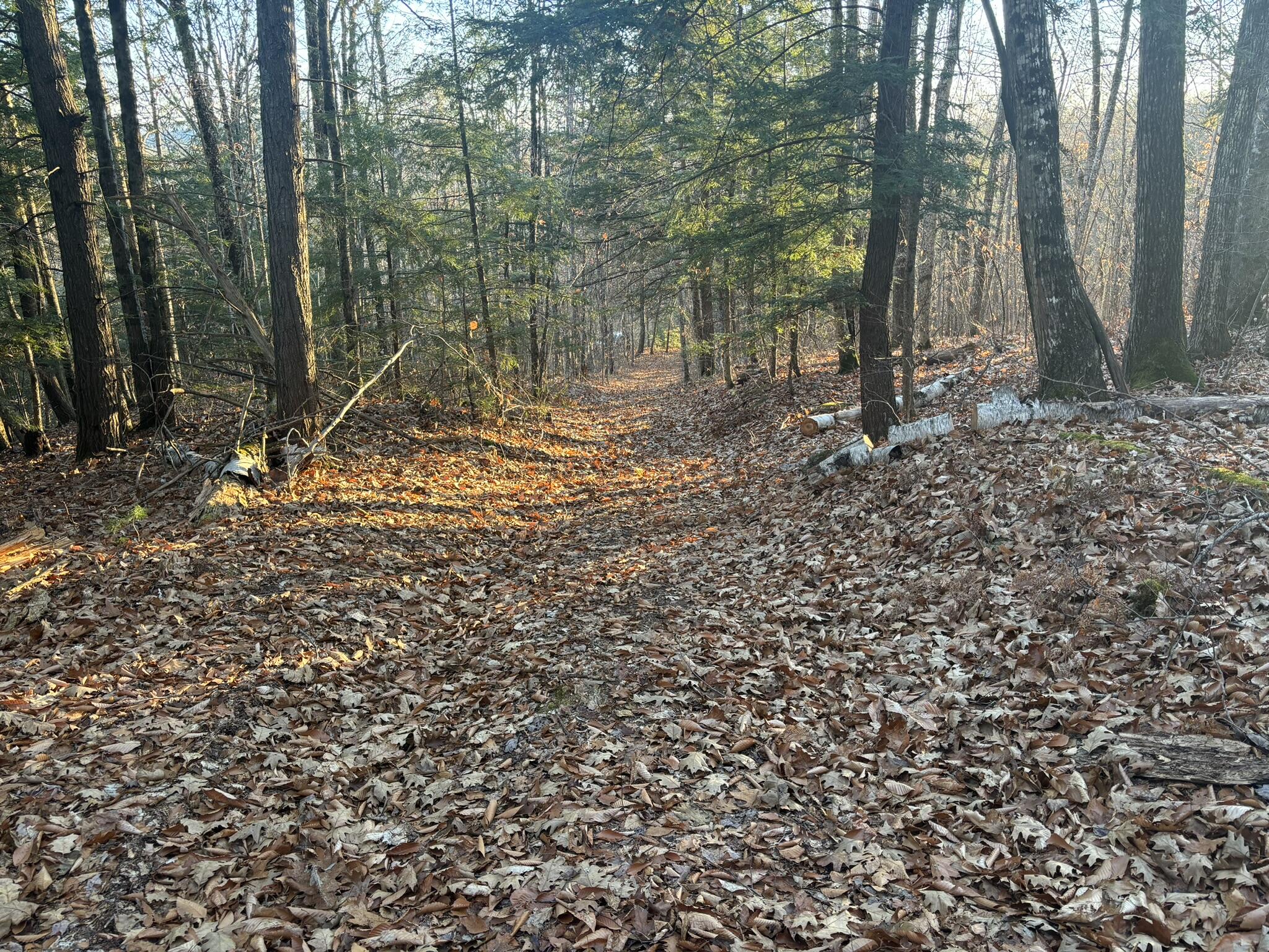 0 Canton Mountain Road Canton ME 04221