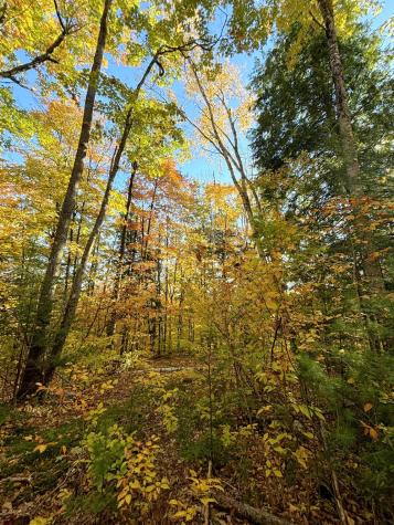 0 Canton Mountain Road Canton ME 04221