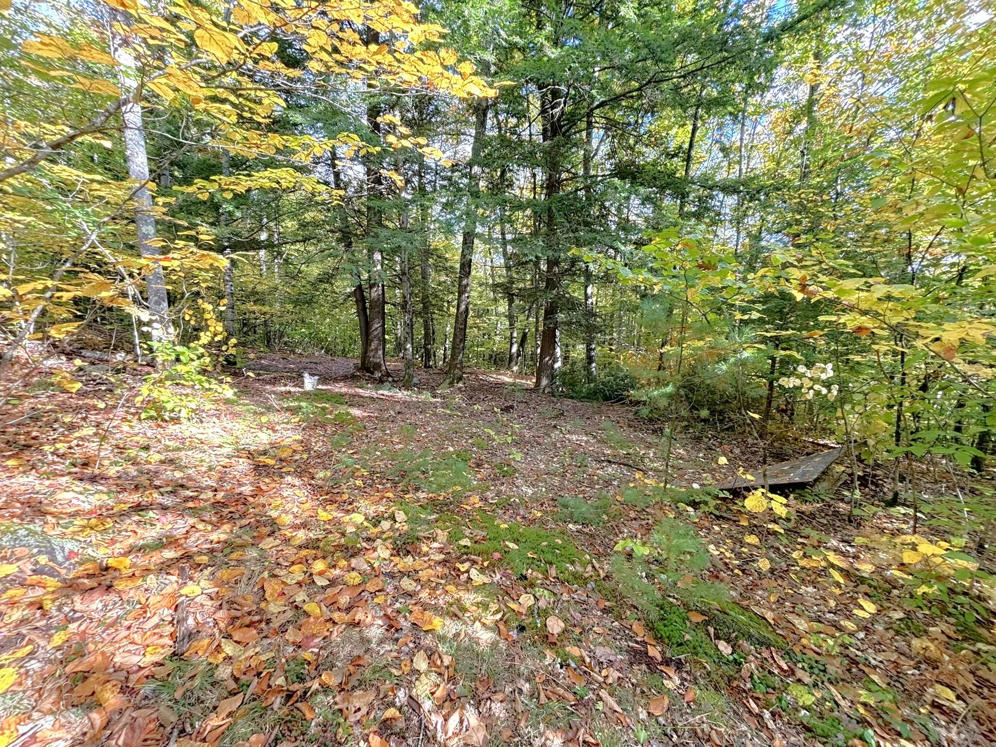 0 Canton Mountain Road Canton ME 04221