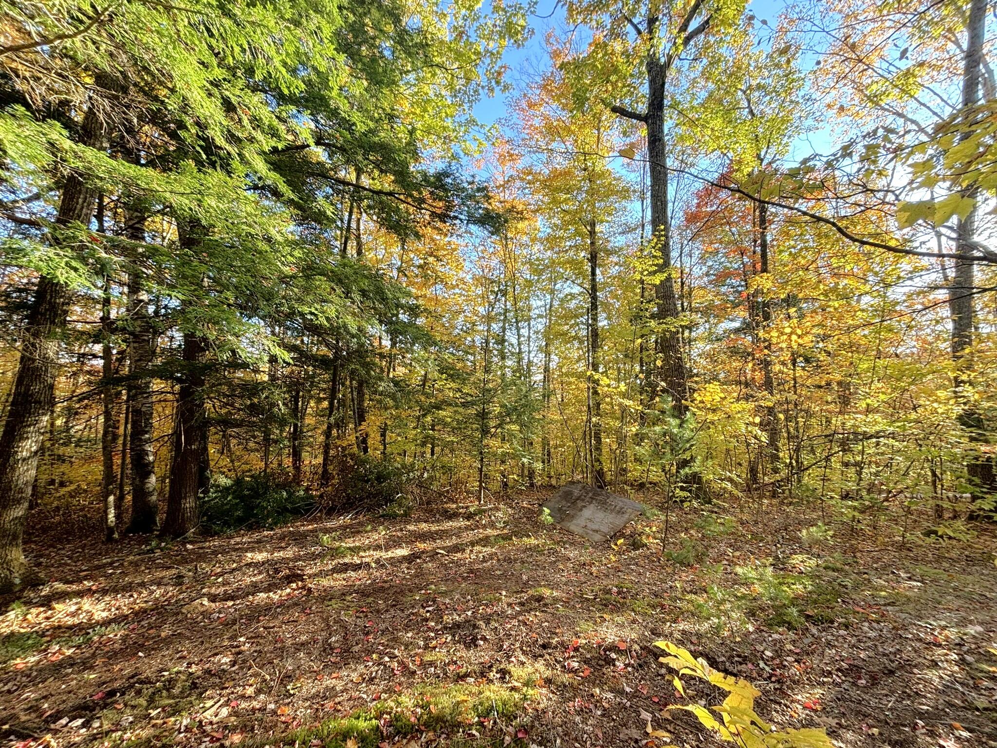 0 Canton Mountain Road Canton ME 04221