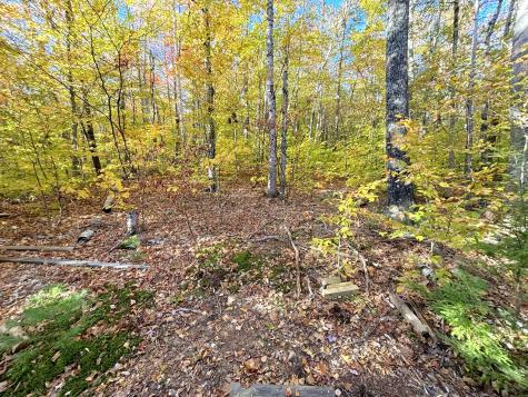 0 Canton Mountain Road Canton ME 04221