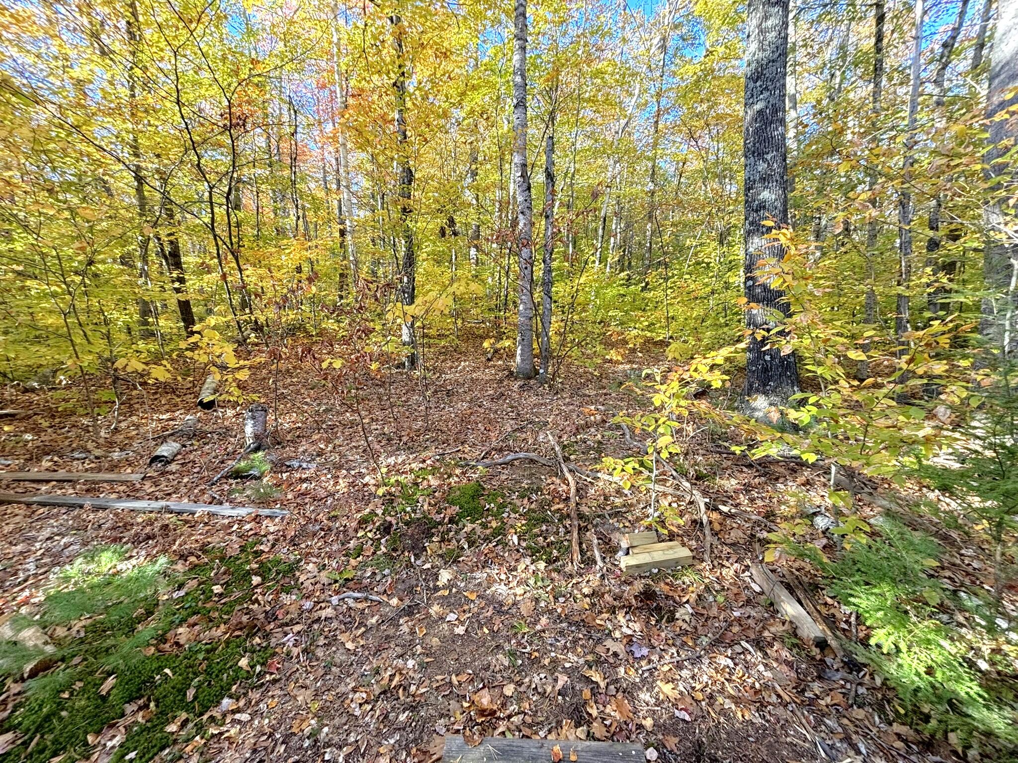 0 Canton Mountain Road Canton ME 04221