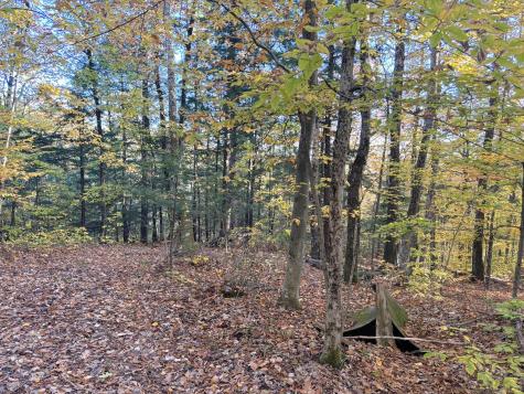 0 Canton Mountain Road Canton ME 04221