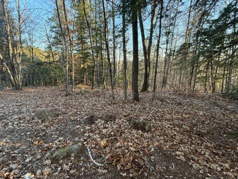 0 Canton Mountain Road Canton ME 04221