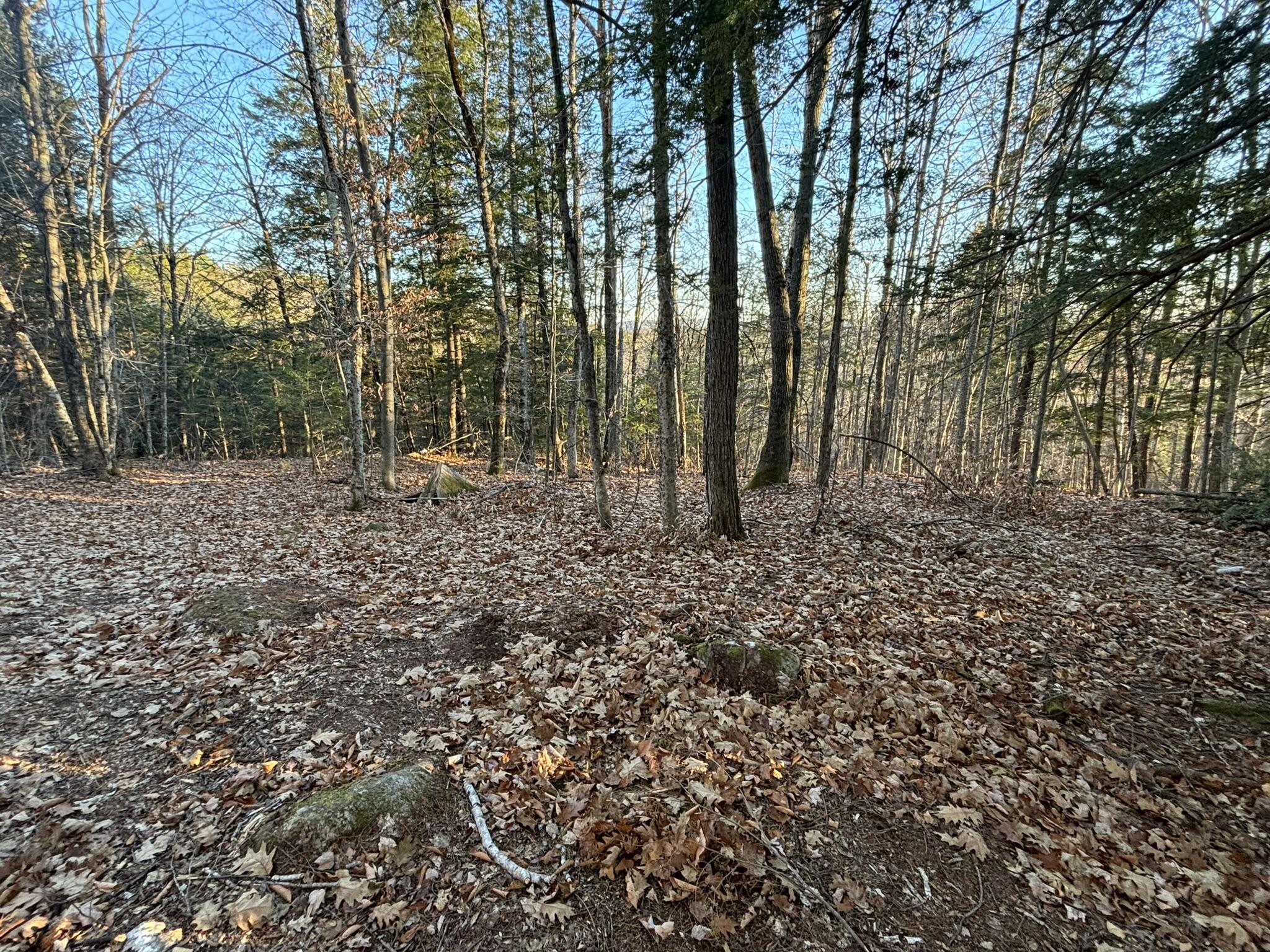 0 Canton Mountain Road Canton ME 04221