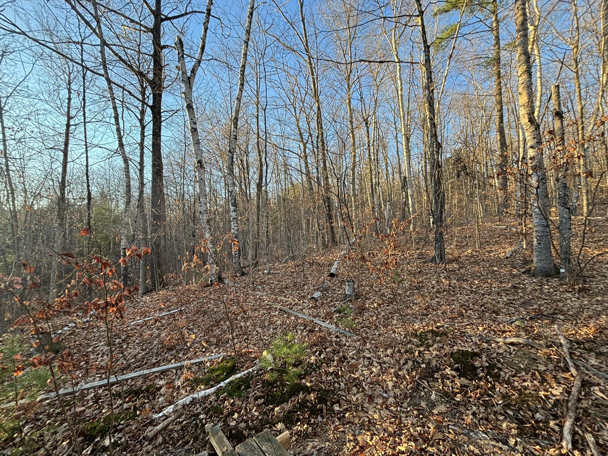 0 Canton Mountain Road Canton ME 04221