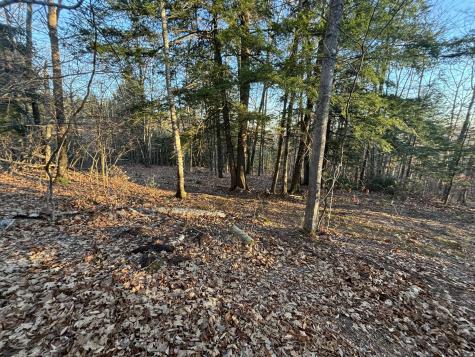 0 Canton Mountain Road Canton ME 04221