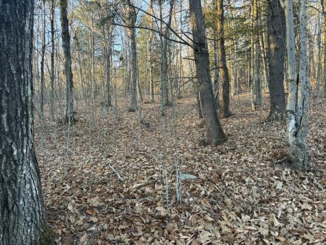 0 Canton Mountain Road Canton ME 04221