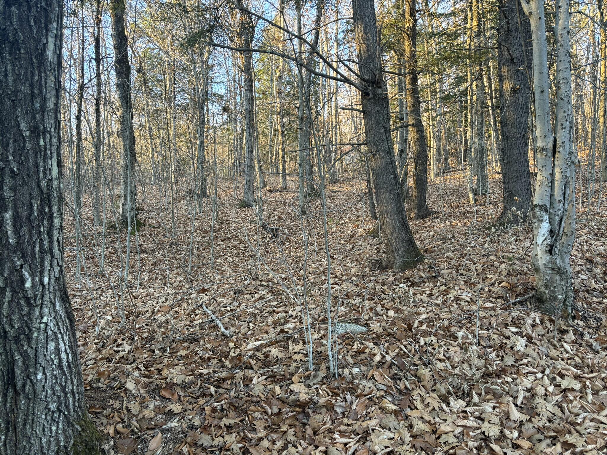 0 Canton Mountain Road Canton ME 04221